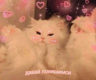 😏