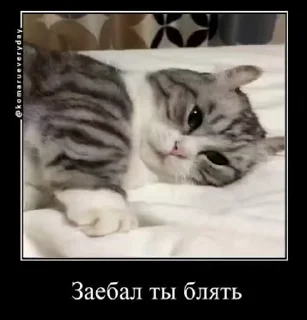 😞