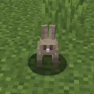 🐇