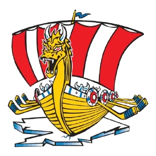 🛳️