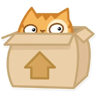 📦