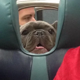 😛