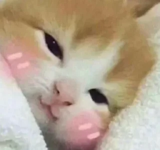 ☺️