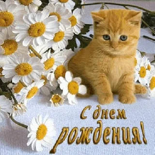 🥳