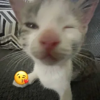 😘