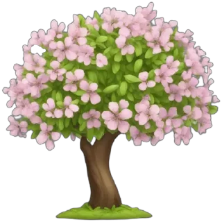 🌸