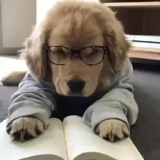 🤓