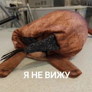 🙈