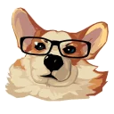 🐶