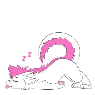 😴