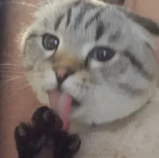 😛