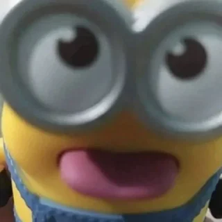 🧻