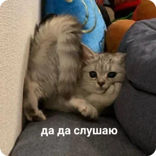 👂