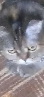 😐