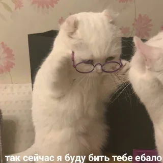 😡