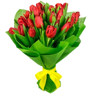 🌷