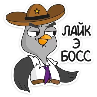 😎