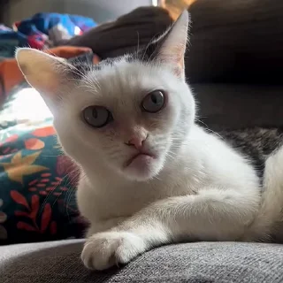 ☹️