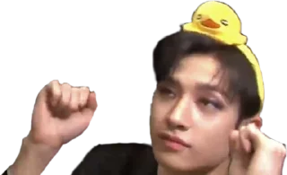 🐥