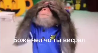 🙄