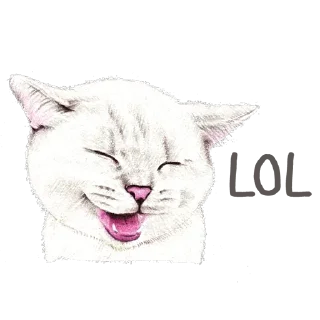 😆