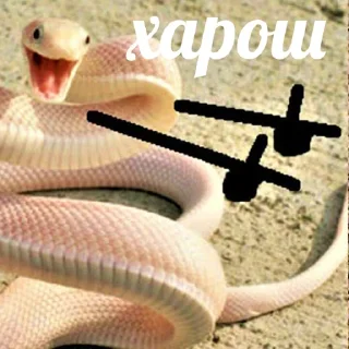 👏