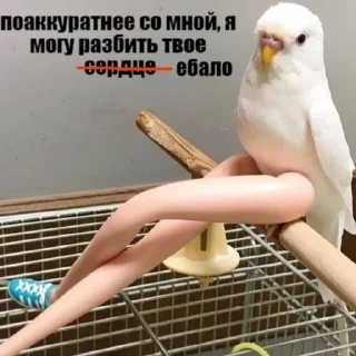 😡