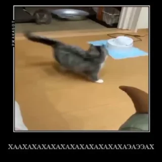 😆