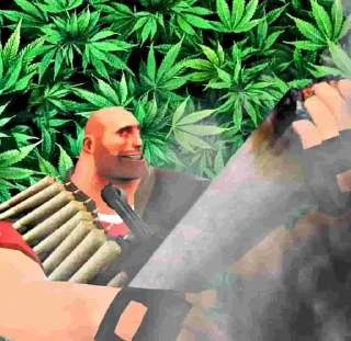 🌿