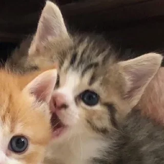 ❤️