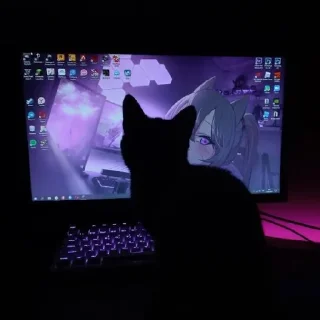 🐈