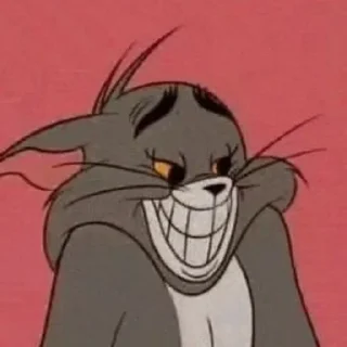 Tom @JustSomeBullshit