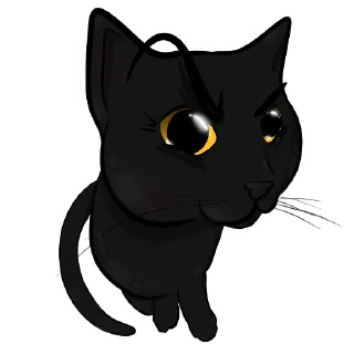 🐈‍⬛