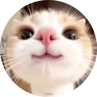 🥹