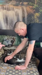🐱
