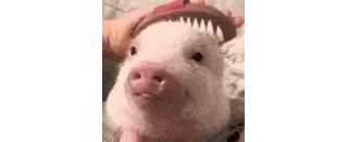 🐐