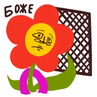 🪟