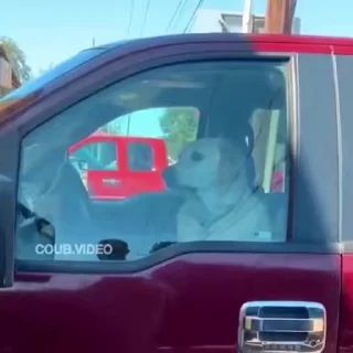 😡