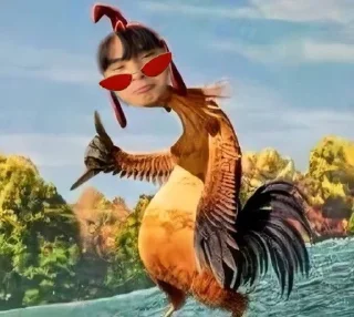 🤍