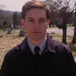 🕸️