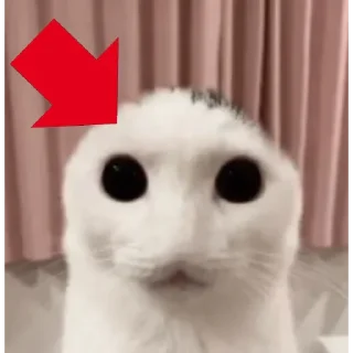 ☃️