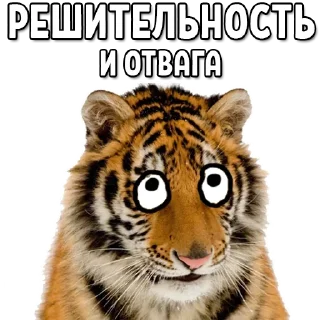 😄