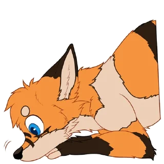 🦊