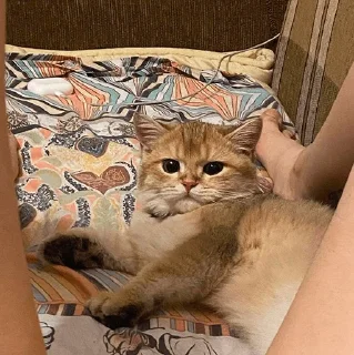 🤩