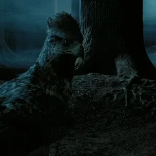🦅