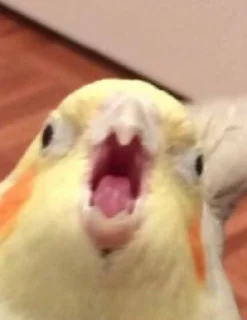 😧