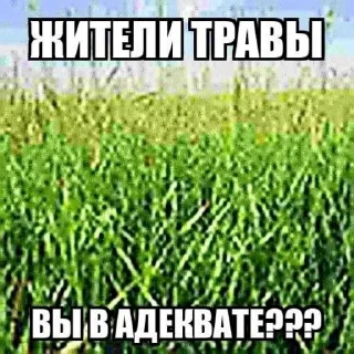 🌱