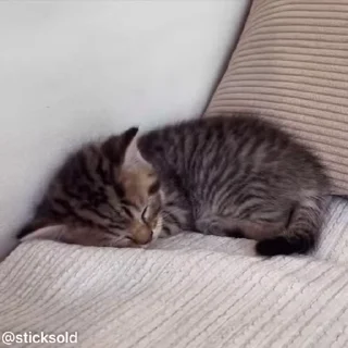 ❤️