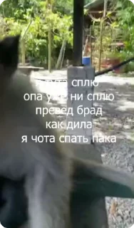 😪