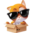 😎